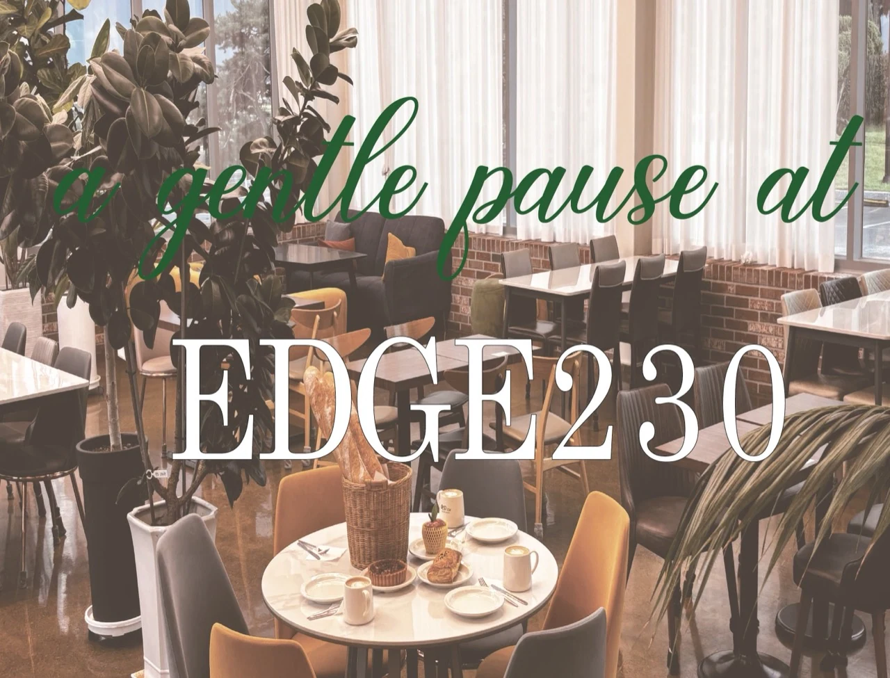 a gentle pause at EDGE230 브랜드 이미지와 카페 실내